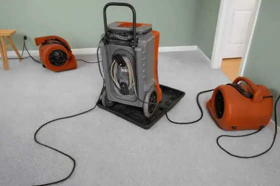 LGR dehumidifier and air movers drying a carpeted Carrollton bedroom