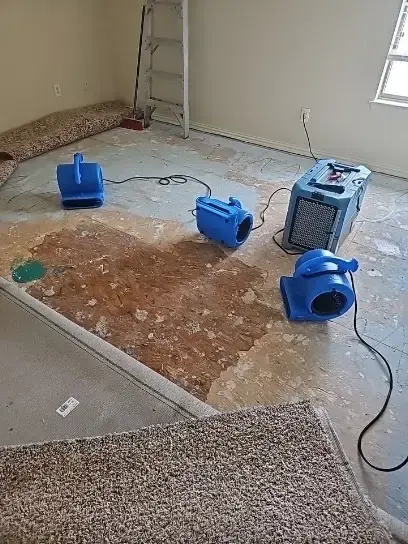 Carpet and pad pulled back with air movers drying the slab beneath in a Carrollton home